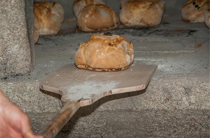 ageing oven