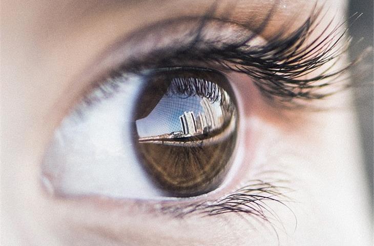 Standard products for eyes
