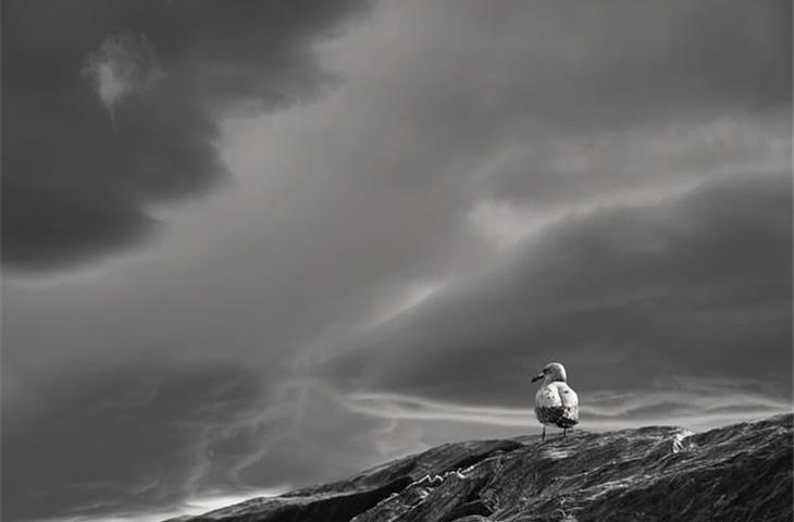 Essential Needs for Weather Testing Equipment