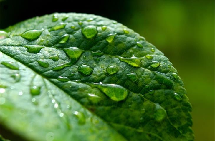 How a Rain Test Machine Enhances Product Durability