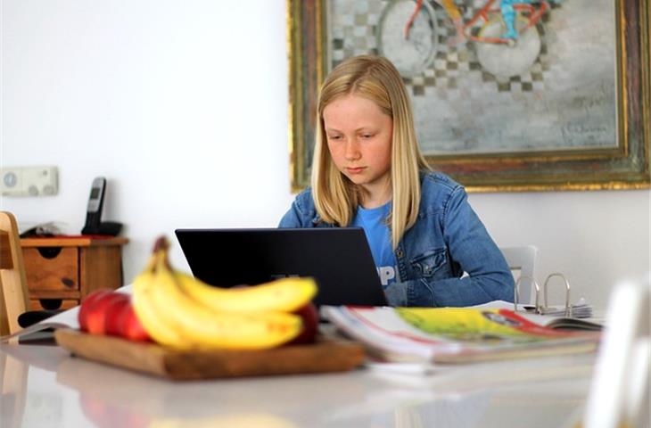 ul 1447 online
