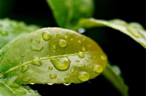 The Comprehensive Guide to Drop Tester Manufacturers