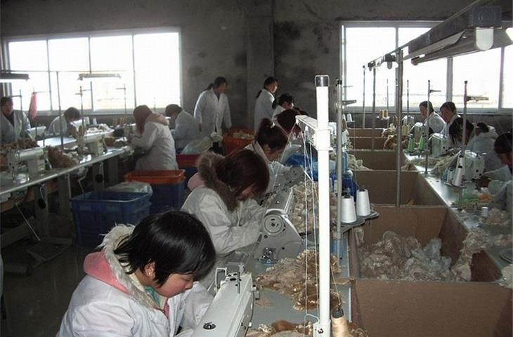 nuts filling machine manual factories quiz
