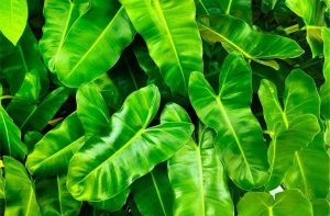 Where to Find the Best Environmental Testing Equipment Suppliers