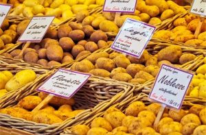 What to Know About Softness Testing Equipment for Sale
