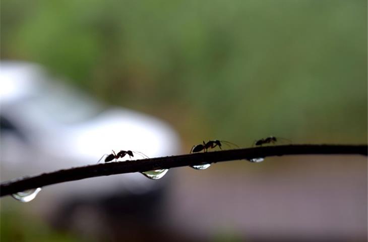 constant temperature and humidity chamber quotes